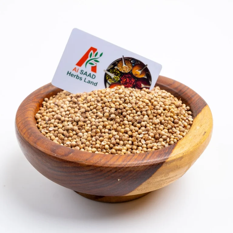 Coriander